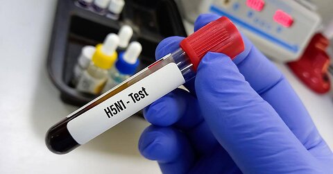 Heavy metals in meat test. 🤮🤮🤮