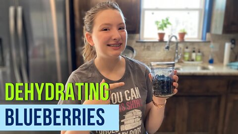 Dehydrating & Storing Blueberries! | Every Bit Count Challenge Day 6