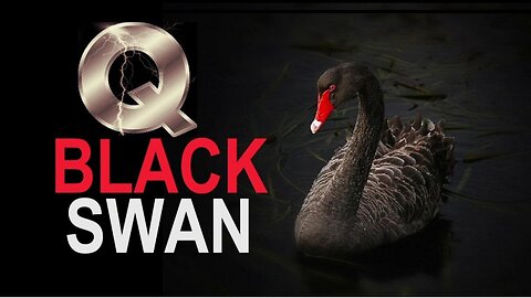 🚨 Black Swan Event Predicted To Cancel 2024 Election! 10x Worse Than 9/11!