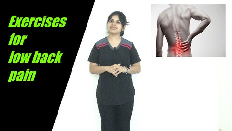 low back pain exercises | exercises for low back pain physical therapy | 7 low back pain exercises