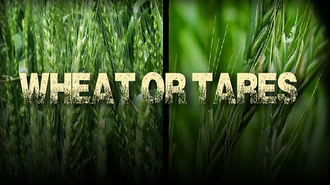 Wheats or Tares, Which One Are You?