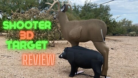 Shooter 3D Targets Review
