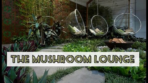 The Mushroom Lounge - Psychedelic & Cannabis Chill Friendly Podcast