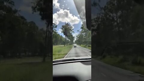 Tamborine, Logan QLD 🇦🇺🏞️