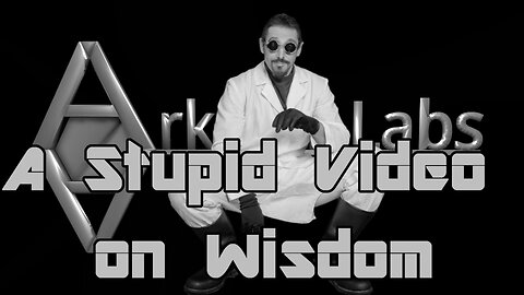 A Stupid Video on Wisdom