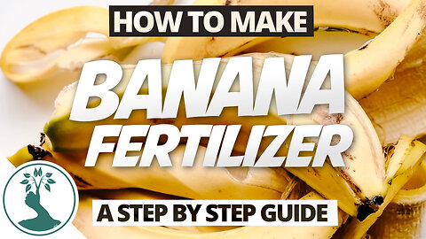 How to Make Banana Peel Fertilizer Step by Step FAST & EASY - Free Organic Fertilizers
