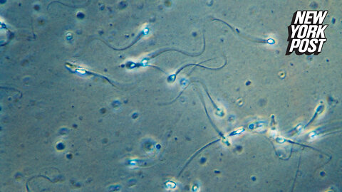 Losing weight helps big guys double their sperm counts: study says