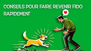 Pourquoi ton chien ne revient pas quand tu le rappel