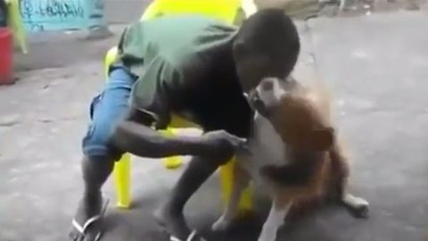 Damn Dog Bites Man In The Face!