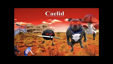 welcome to caelid