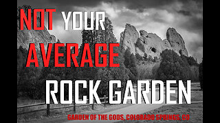 NOT Your Average Rock Garden