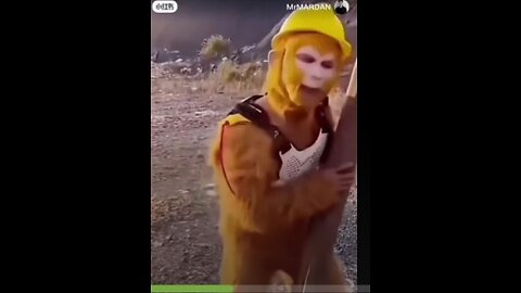 funny video funny memes funny comedy_new funny video (2024) 😶🤣 funny comedy video