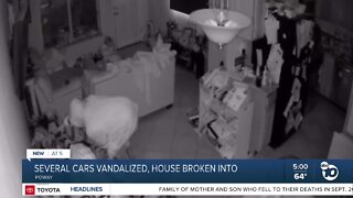 Cars vandalized, house broken into