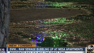 Raw sewage spilling onto sidewalk of Mesa apartment