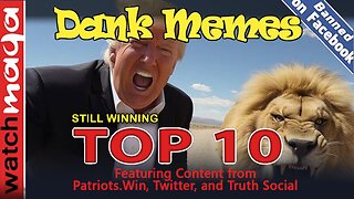 Still Winning: TOP 10 MEMES