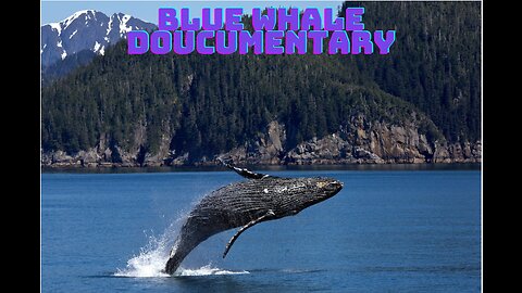 The Majestic Blue Whale Documentary | Guardians of the Abyss