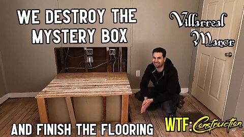 We finally ripped out the mystery box to build a secret hatch and get the bird room 99% done!