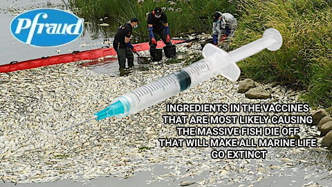 INGREDIENTS IN THE VACCINES THAT ARE CAUSING THE MASSIVE FISH DIE OFF & CAUSE MARINE LIFE EXTINCTION