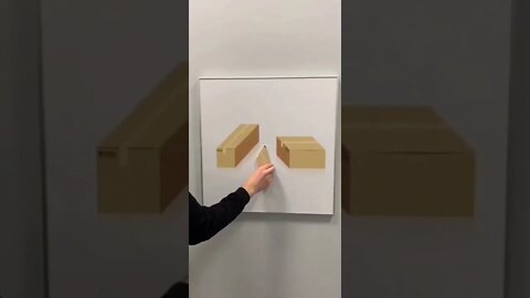 Perspective is everything Jastrow illusion 🧐Video by midovibes