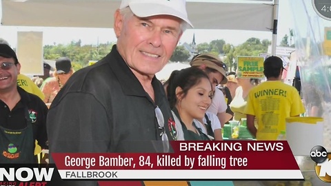 Beloved Avocado Farmer Killed By Fallen Tree