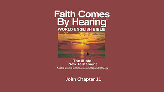 John Chapter 11 - WEB - Audio Bible