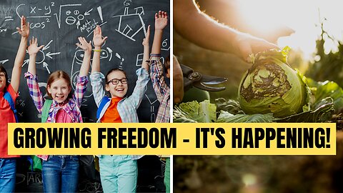 Schools Are Beginning To Grow Freedom! (SEEDS PLANTED)