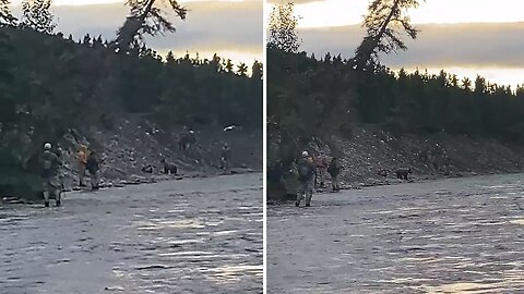 Alaskan Grizzly Bear Scares Fisherman Out Of Their Fishing Spot