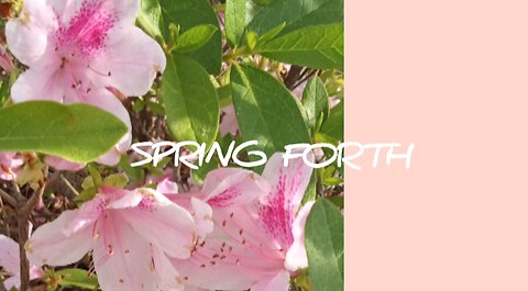 Spring Forth | Encouraging Road