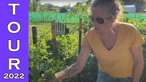 EXPLOSION! Garden Tour 🥕 Harvest | July 🌻 2022