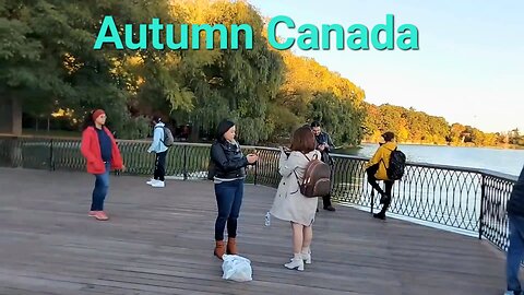 Autumn 🍁 in Toronto Canada 🇨🇦 Nature scenes