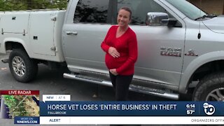 Horse vet loses entire business in theft