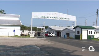 Birds banned: No poultry shows at Ashland County Fair due to bird flu