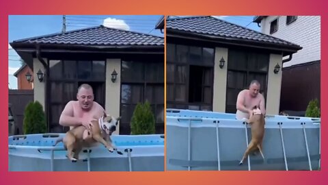 Dog trying to bath | but his owner shouldn't | #dog #funny #Entertainment #rumbletube