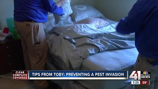 Tips from Toby: preventing a pest invasion