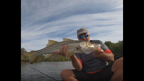 Super Low Tide, the Snook and Jacks dont care, 30 minutes of catching.