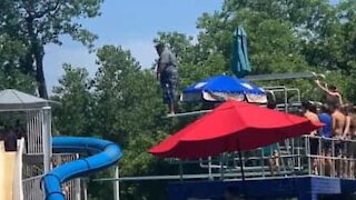 Nervous swimmer takes the plunge after pool crowd encouragement