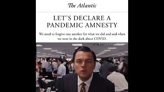 Soll es eine Pandemie Amnestie geben?