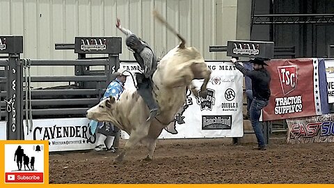Bull Riding - 2023 ABC Pro Rodeo | Saturday Matinee