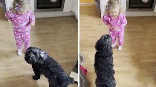Toddler enjoys teaching her dog new tricks