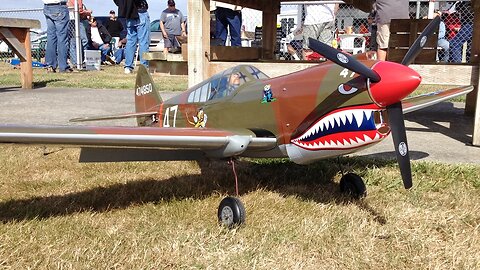 Curtiss P-40 Warhawk Flying Tiger WWII Warbird RC Plane at Warbirds Over Whatcom