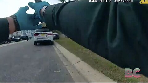 Florida deputy fires weapon after mistaking sound of acorn hitting patrol car for gunshot