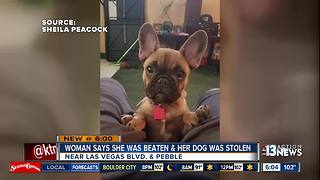 Woman says robbers stole her pregnant bulldog