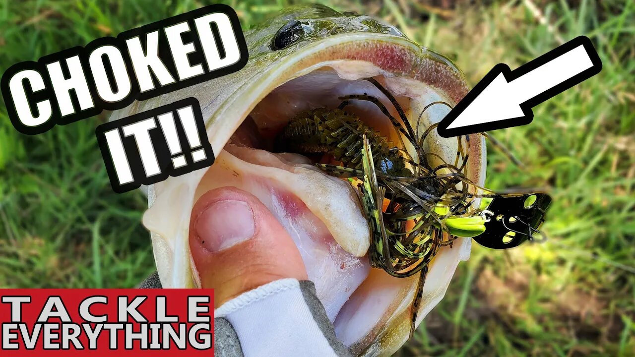 BEST New Chatterbait TrailerCould This Be IT???