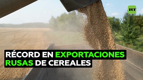 Exportaciones de cereales rusos alcanzan un récord histórico con los envíos a 100 países del mundo