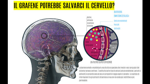 💉 IL GRAFENE POTREBBE 🧬 SALVARCI IL 🧠 CERVELLO 🧠?