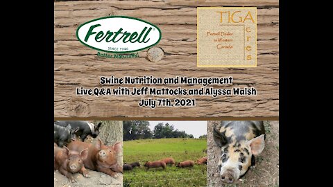 Swine Nutrition and Management, Live Q&A With Jeff Mattocks and Alyssa Walsh, July 7th, 2021