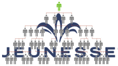 Quick Look At Jeunesse Genealogy - How To View Your Downline