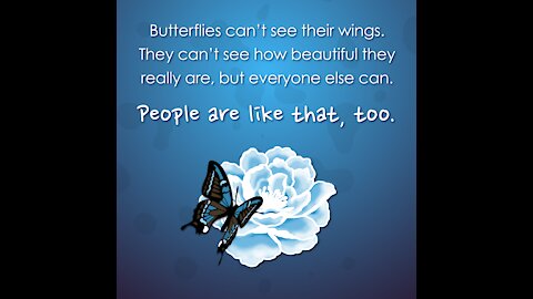 Butterflies And Beauty [GMG Originals]