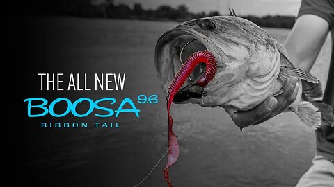 Introducing The Boosa 9.6 Ribbon Tail Worm