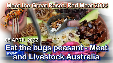 2022 APR 08 Meet the Great Reset Red Meat 2030 Eat the bugs peasant Meat and Livestock Australia